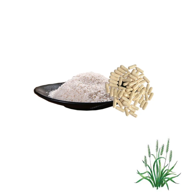 Lifeworth organic slimming dietary fiber psyllium husk capsules