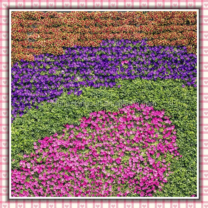 LSD-1230601 Оптовая alibaba партия декоративные искусственный свадебный цветок стены