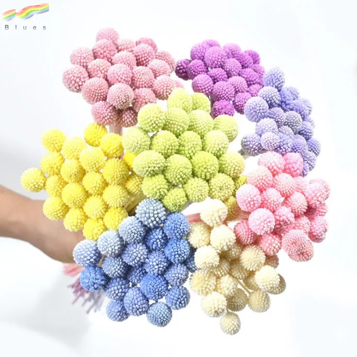 
Natural Craspedia Billy Balls Preserved Golden Ball Dried Flower for Decoration 20pcs/bag 