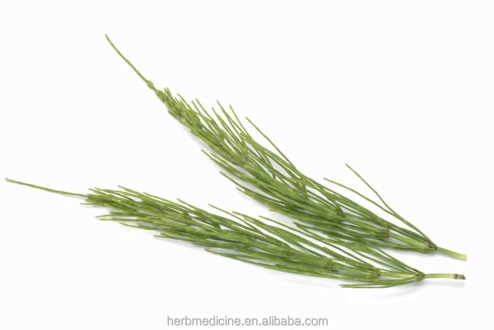 Китайский необработанный чай высушенный трава Equiseti Arvensis продажа обычного конского хвоста 1 кг