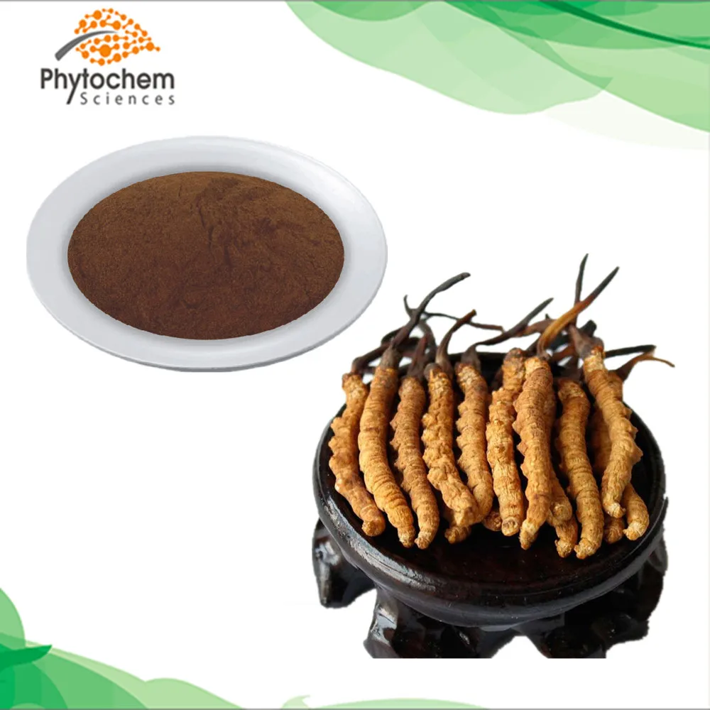 
Yarsagumba price yartsa gunbu polysaccharide powder cordycepin ergosterol adenosine cordyceps sinensis extracts 