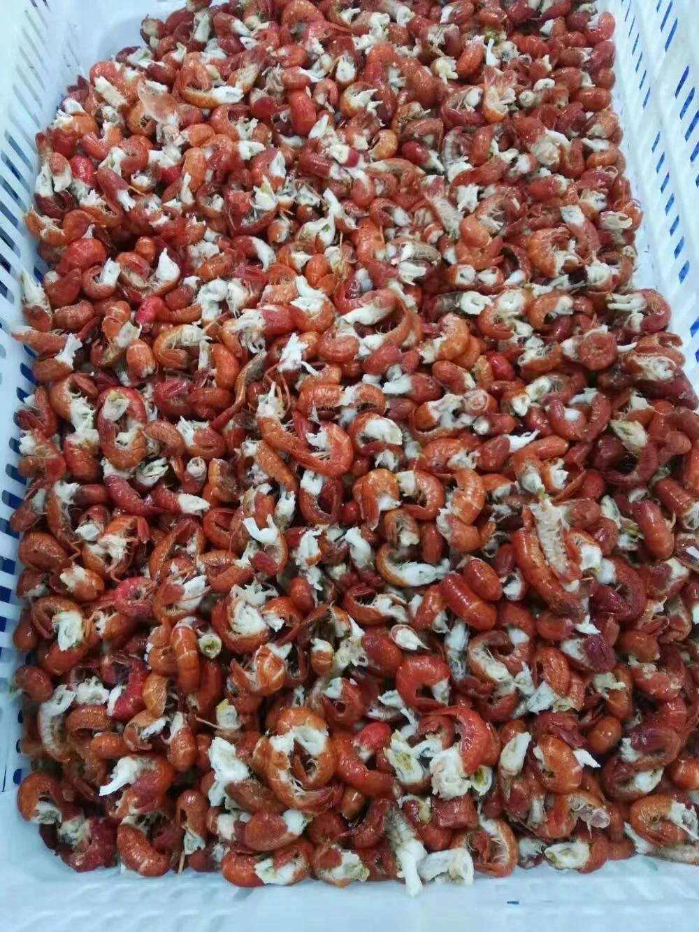 DJL liquid nitrogen tunnel freezer for lobster tail/quick freezing machine for crayfish tail /shrimp tail flash freezer