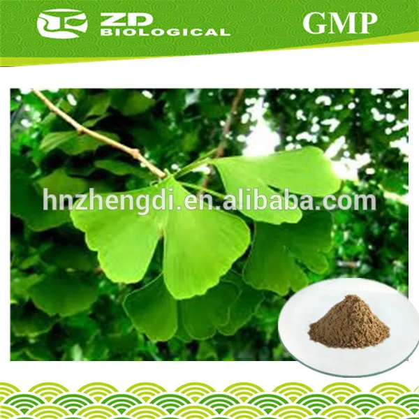 gmp завода гинко билоба