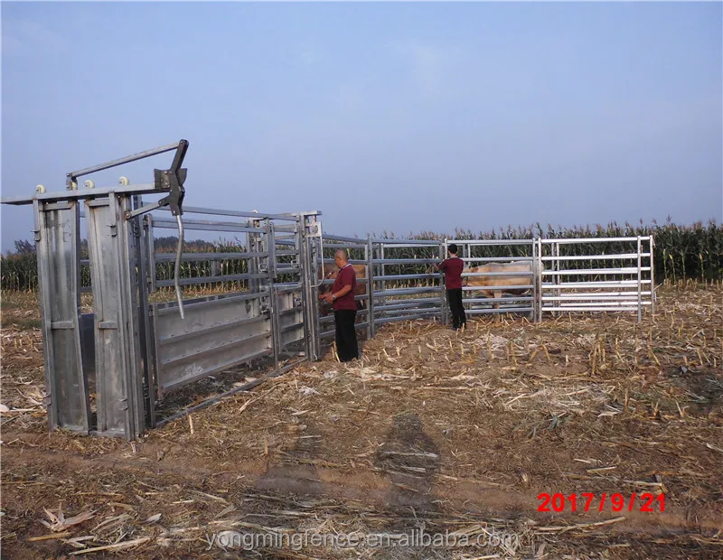  Cattle hurdle corral yard panel