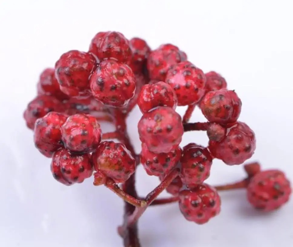 chuan jiao Dried Pure Szechuan pepper Tooth Ache Tree fruits shells