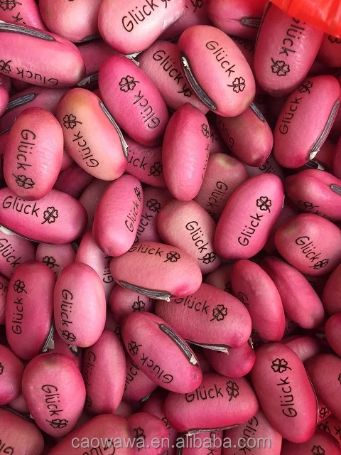  Деревянная коробка magic bean crafts с буквами может расти после посадки.
