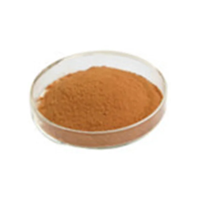 
High Quality 100% Nature Natural Apricot Seed P.E. 