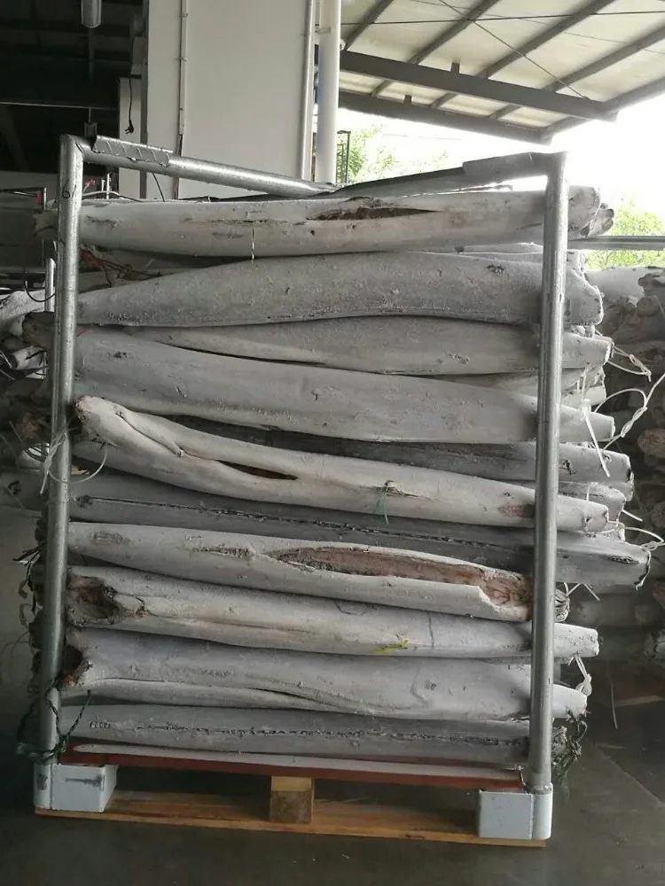 Замороженные морепродукты Парусная Рыба для рынка HGT хорошего качества