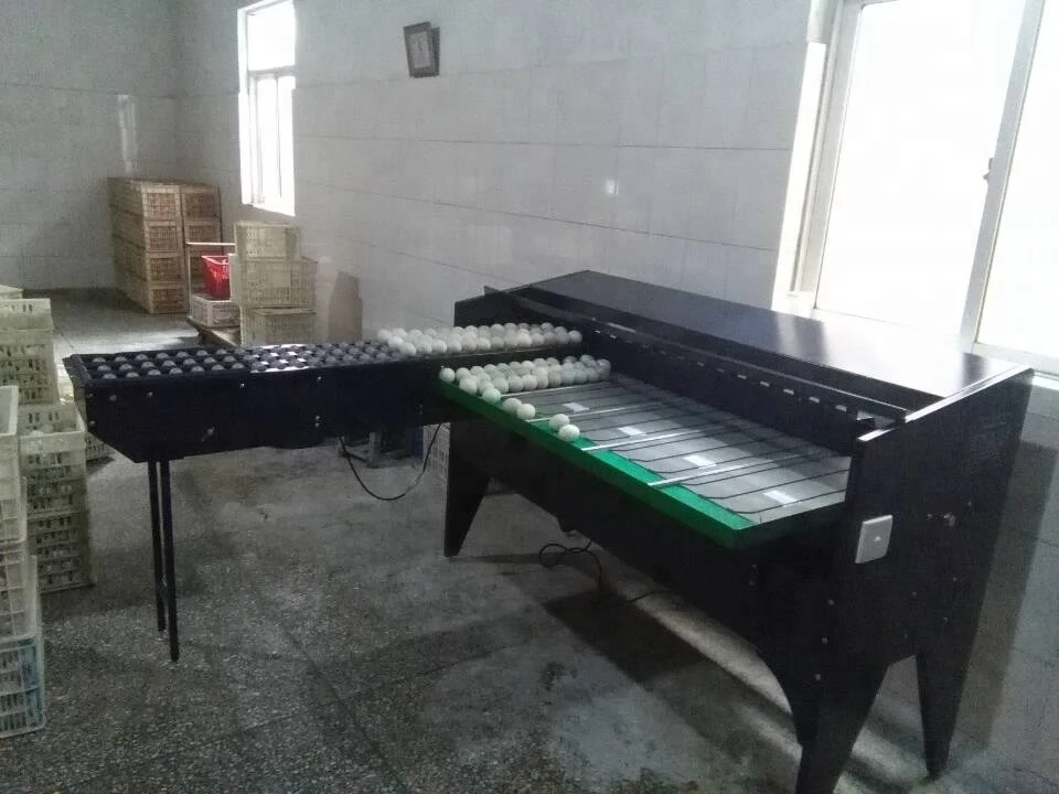 5 or 7 levels automatic egg sorter processing machine for sale