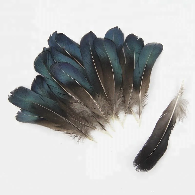 4-6 дюймов (10-15 см), оптовая продажа, высокое качество, натуральное, маленького размера, синее дамское перо фазана