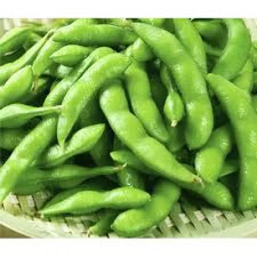 
Frozen Green Edamame Shelled With Good High Quality 