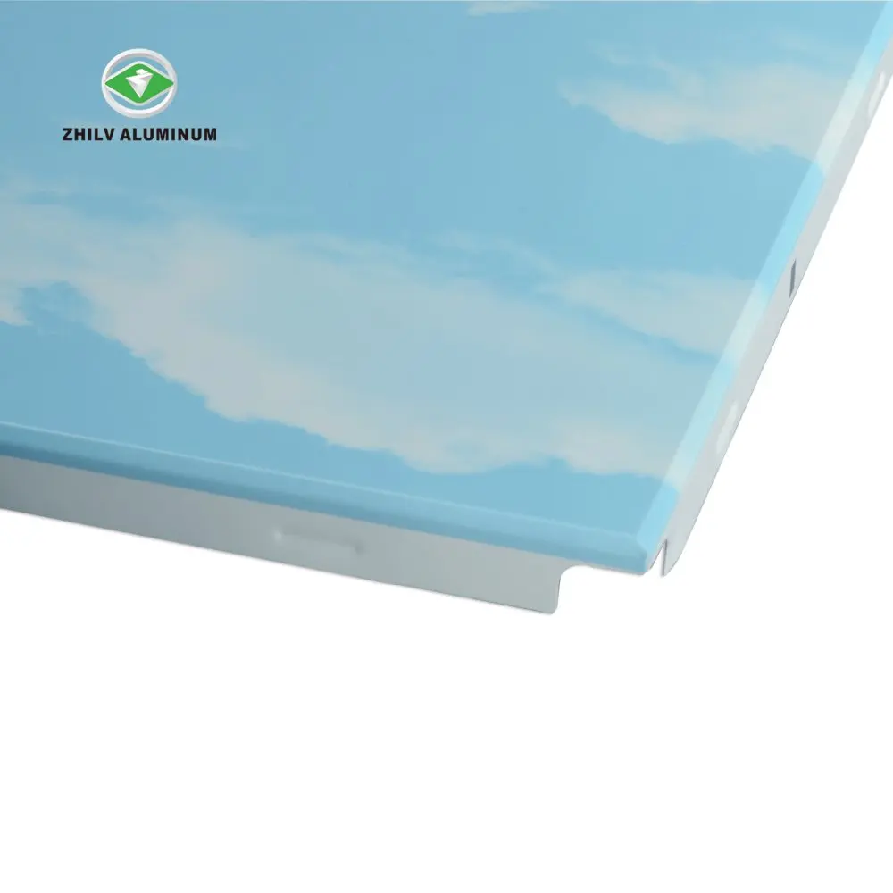 
2018 Fashionable Building Material Aluminium Metal Ceiling of Blue Sky & White Cloud 