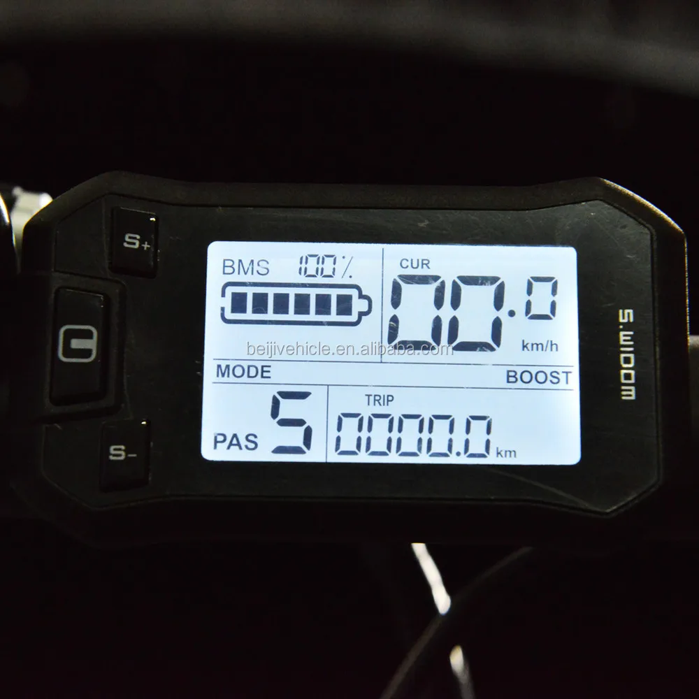 Holland family three-wheeler electric cargo bike price