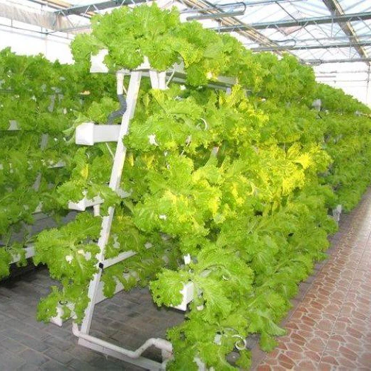 
Promotion New indoor hydroponic growing system vertical farming tower comercial or garden use 
