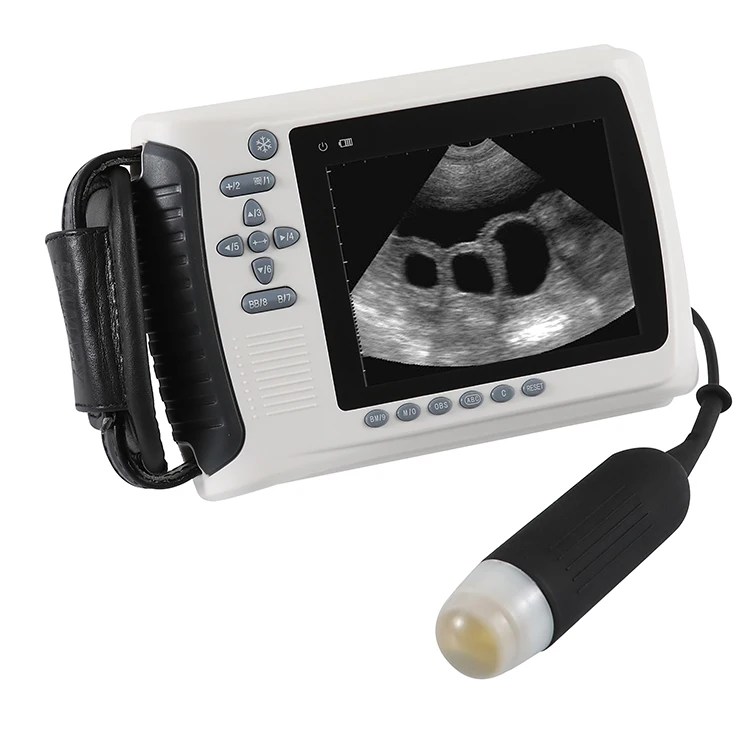 Portable Ultrasound Machine for Pigs and Sheeps