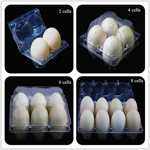 PVC Clear plastic egg tray and Blister Process Type egg cartons for sale