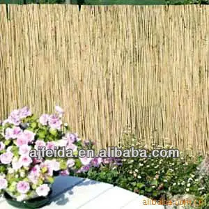 natural reed screen
