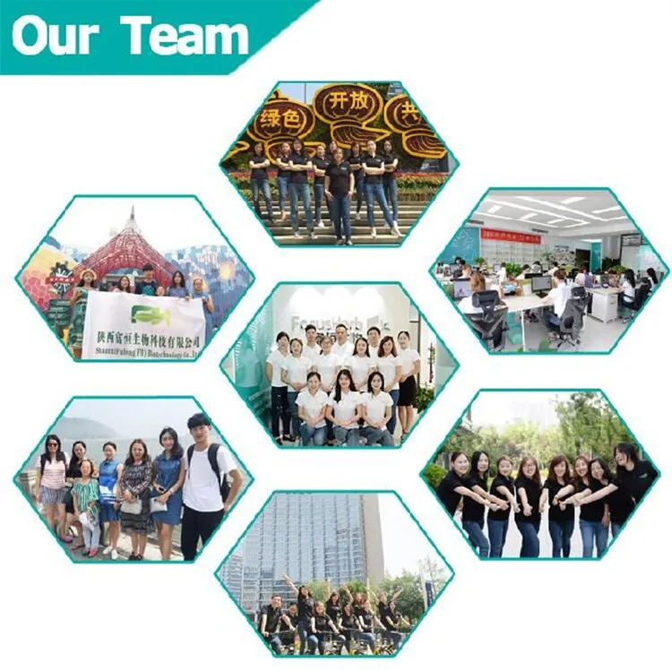 
Factory Supply 6% Royal Jelly Powder 