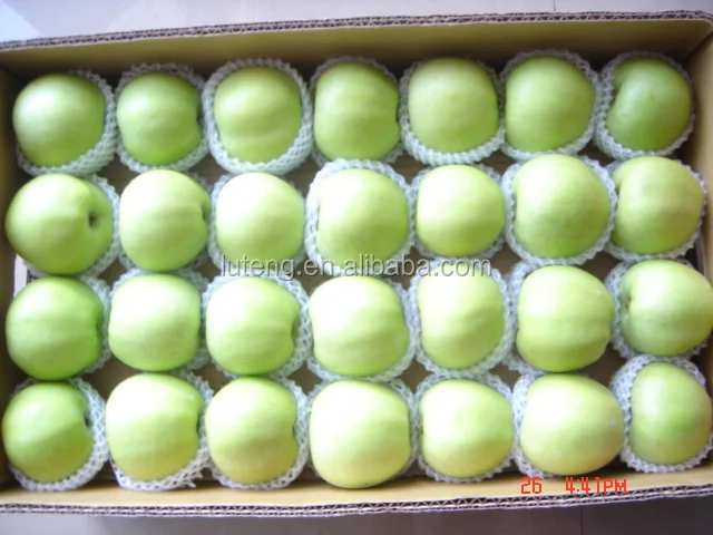 New crop bulk fresh green apples organic from Shandong