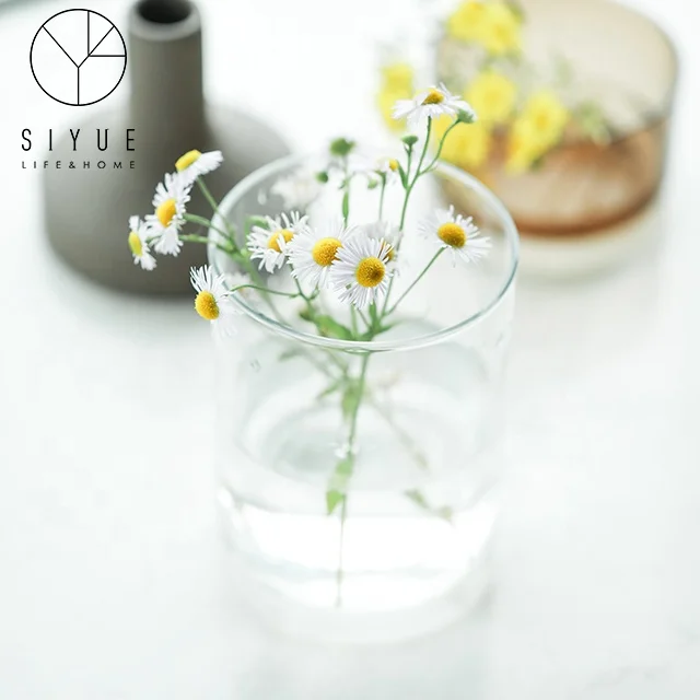 Transparent Light Glass Flower Vase for Home Decoration 1120