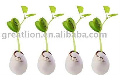 
Flower egg.Can flower.Magic eggs 