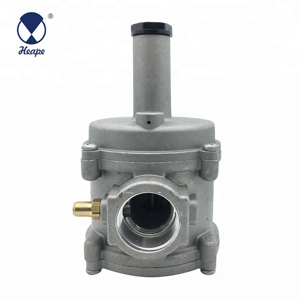 
HEAPE DN15 Natural Gas Regulator Valve 