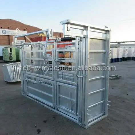 Australia Standard Heavy Duty Galvanized Cattle Crush