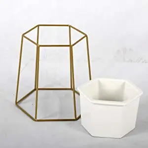 OEM 551-17 Modern Design Gold Hexagon Planter Flower Pot Holder Metal Iron Rack for Succulents Herbs Cactus Plants