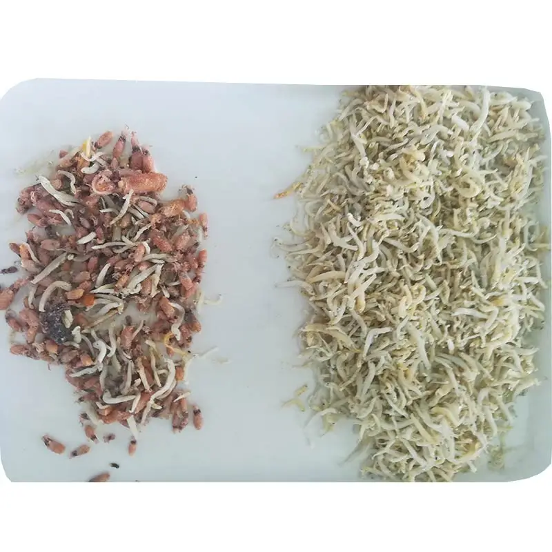 Fish Meat Bone Separator Fish Processing Equipment Fish Sorting Machine