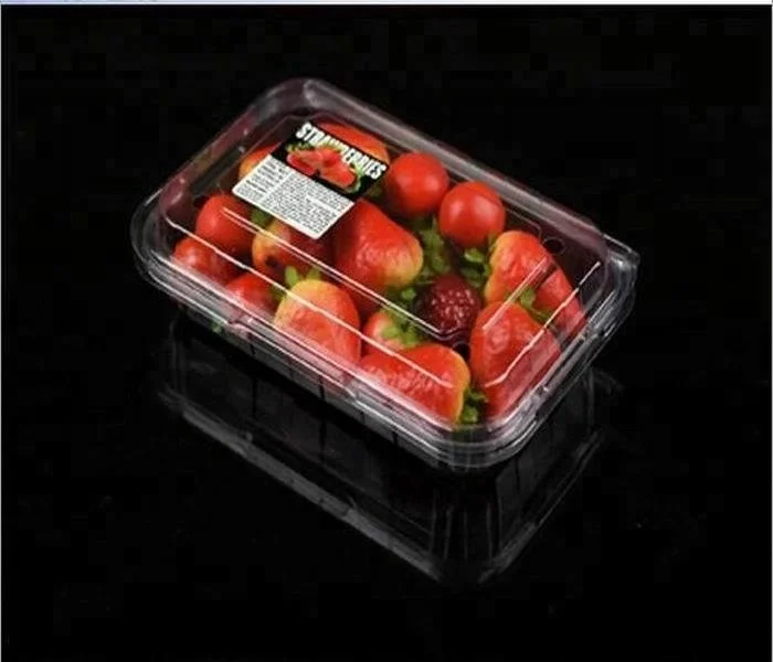 Vacuum Forming PP Plastic Fresh Vegetable Packaging Disposable foam supermarket frozen meat food trays packing
