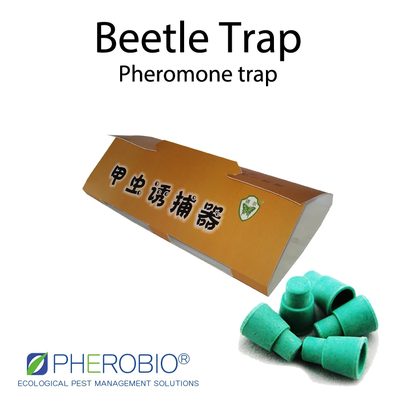 
Tobacco beetle Lasioderma serricorne pheromone lure pheromone trap 