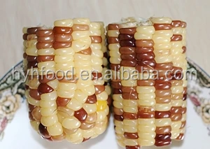 Frozen colorful corn