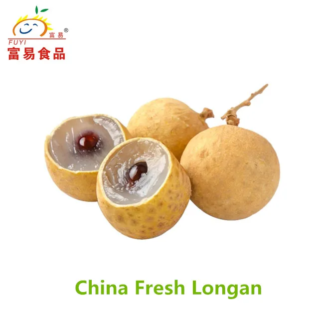 Fresh Longan Fruit With Best Price And Good Quality