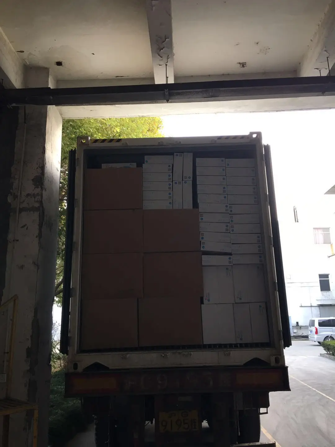 
Finc fresh Soilless Culture oyster mushroom 