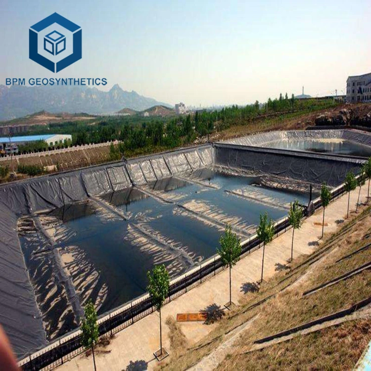 HDPE Geomembrane Aquaculture Farm Plastic Fish Pond