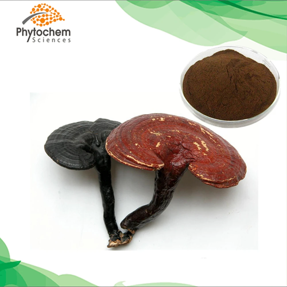 
Food grade grind straight extract lingzhi 50% polysaccharides 5% triterpene organic ganoderma lucidum reishi mushroom powder 