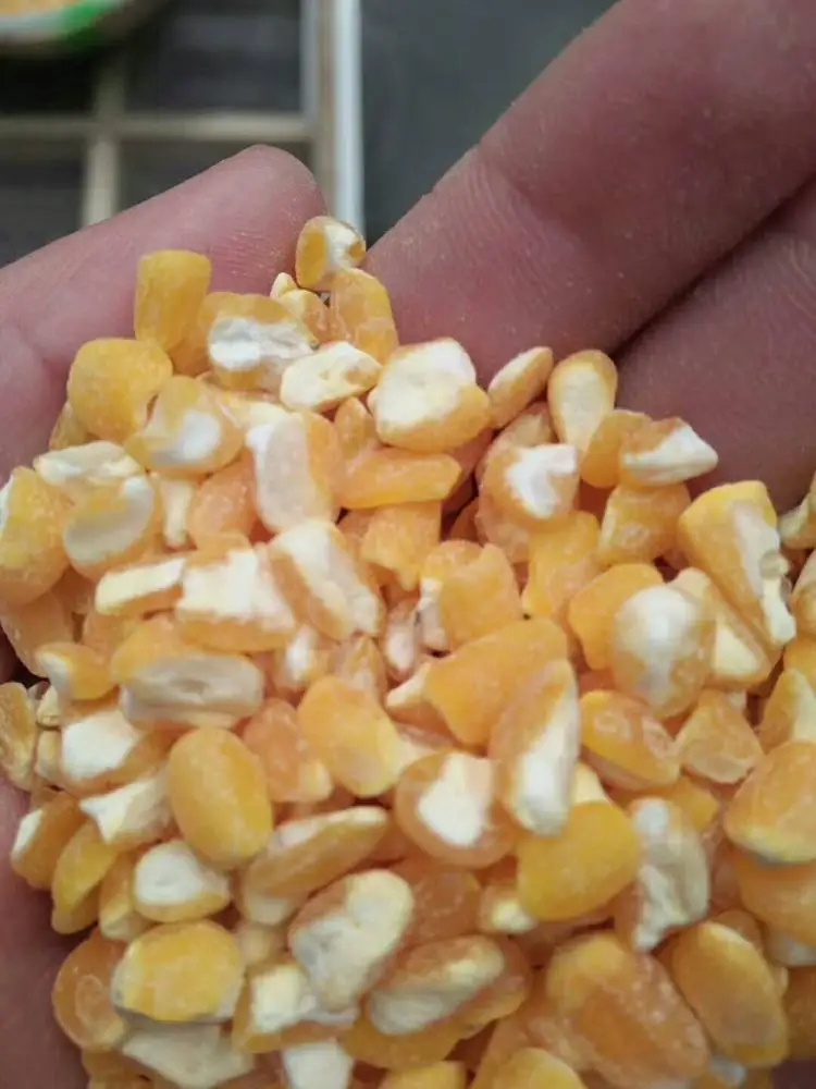 
New type maize corn peeling machine dry grinding white&yellow Corn broken making plant big maize grits mill machine 