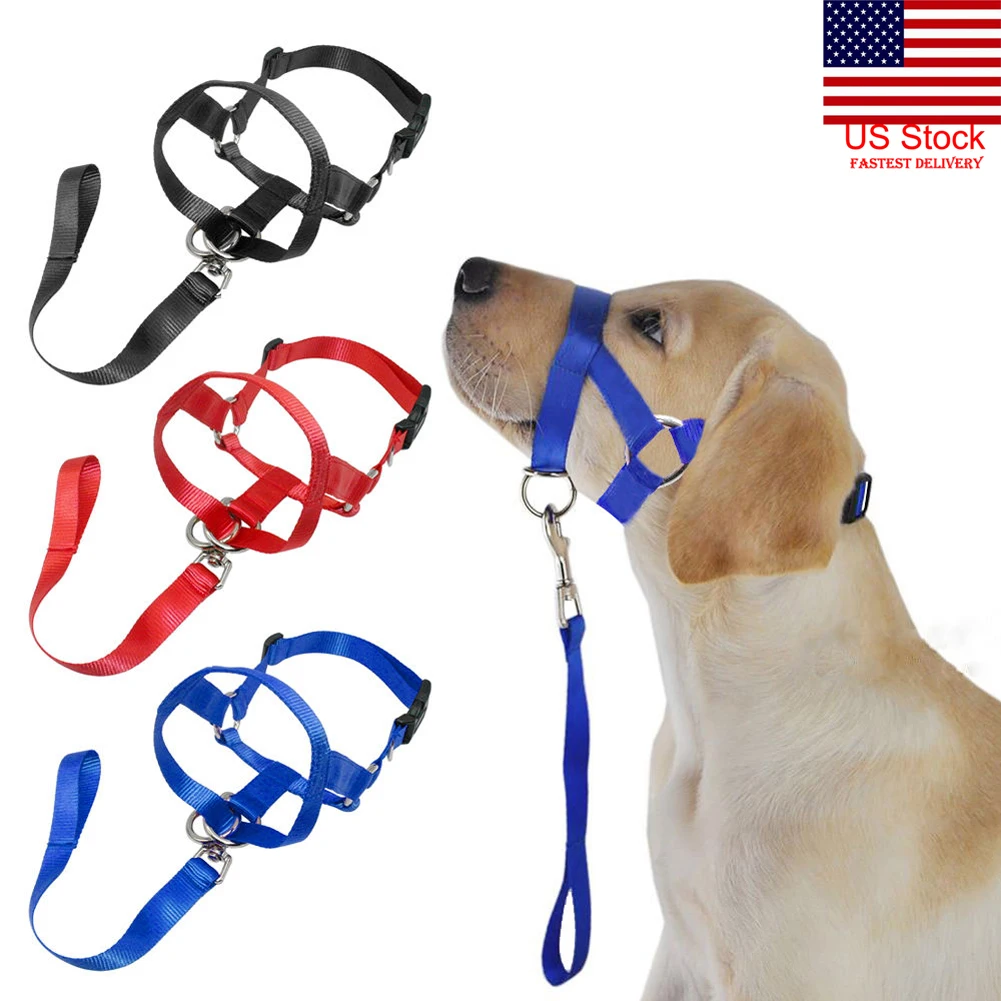 muzzle leash for dogs