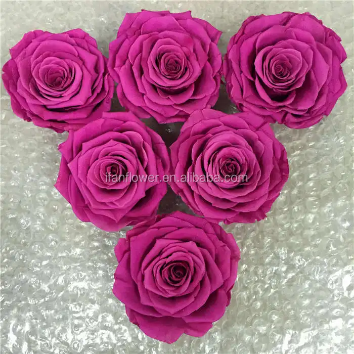 Unique style excellent quality freeze dried roses preserved rose flower