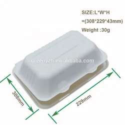 Disposable Bagasse Container Packaging Box Tableware Products Sugarcane Bagasse Packaging Burger Boxes Food Triangle Cake Box