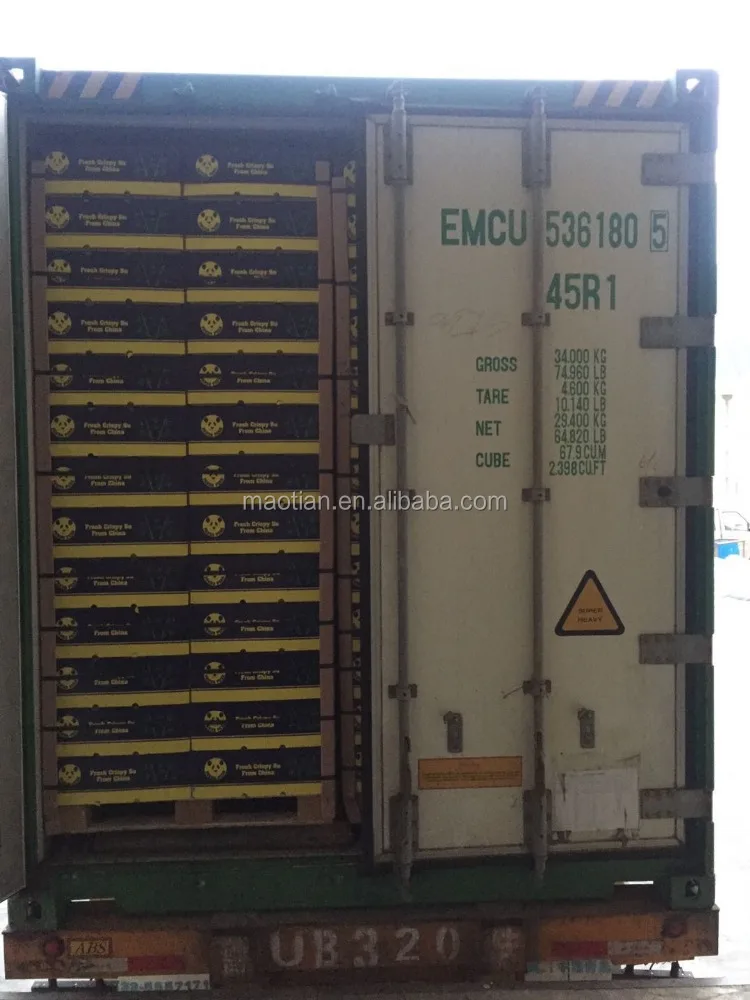 
Fresh Shandong Pears 