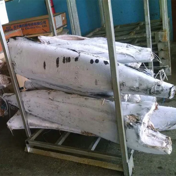 2019 Hot sale New Arrival High Quality Blue Marlin For Market Or Can