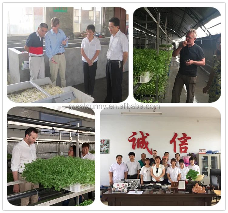 28Tray Sprout germination machine constant temperature intelligent automatic seed germination machine machine