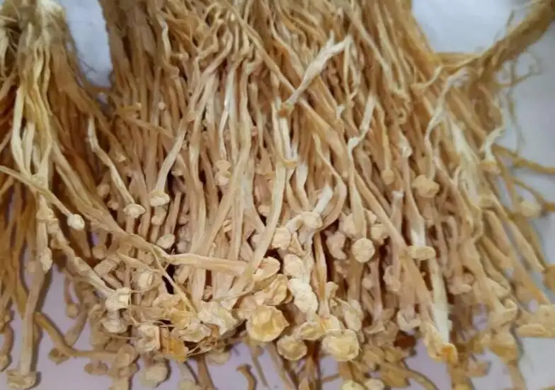 Nutrients Dried Enokitake/ Enoki / Golden Needle Mushroom