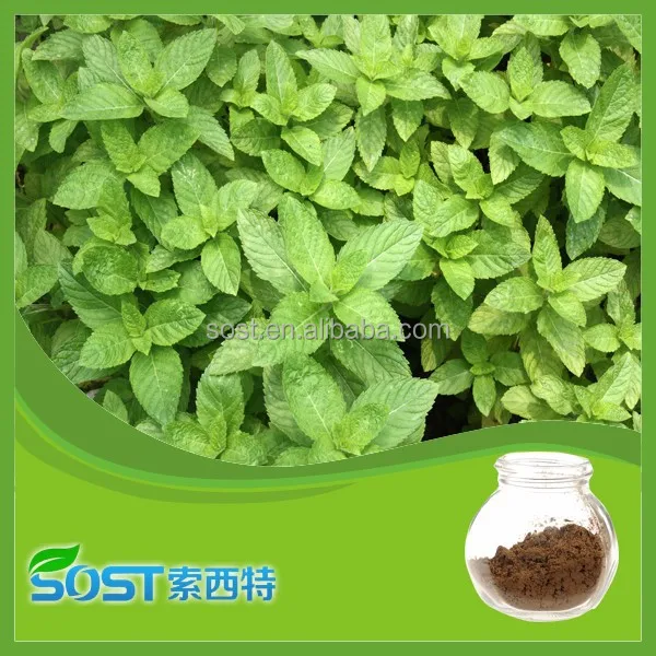 
Pure natural water soluble menthol 