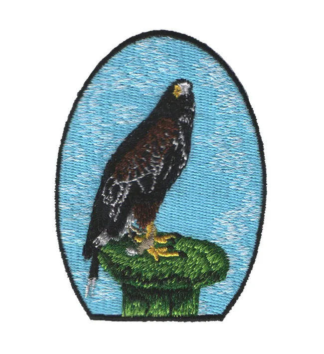 
Graduated Color 2018 Classic Pilot Wings Self Adhesive Stick On Embroidered Badge For Suitcase Customized New Design Patches 