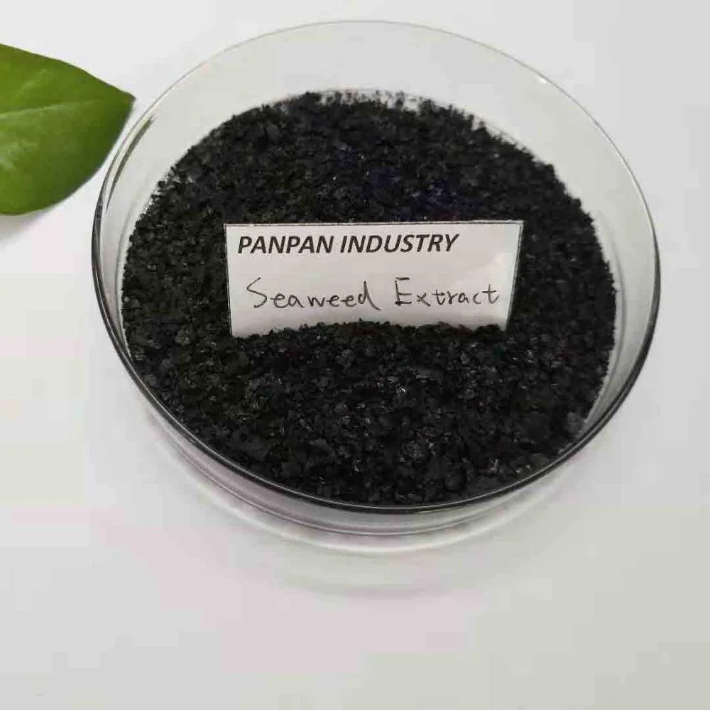 
Agricultural Black Hen Organic Seaweed Kelp Extract Fertilizer Ascophyllum Nodosum 