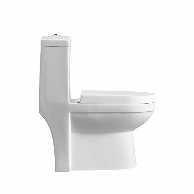 
High Grade Luxury Western New Product Fashionable One Piece Oem Wc Eco Toilet 