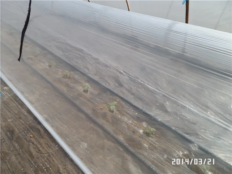 Сельское хозяйство полиэтиленовой пленки высокого качества ЕВА тепличной пленки