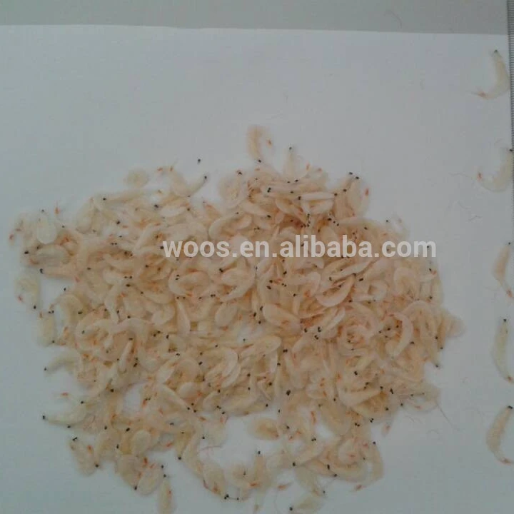dried baby shrimp